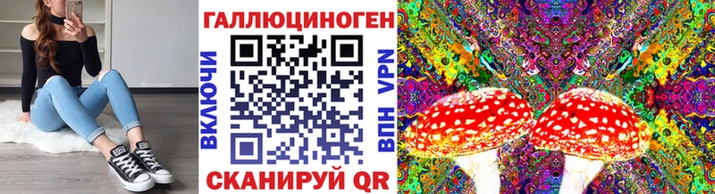 купить  сайты  Санкт-Петербург  Галлюциногенные грибы мухоморы 